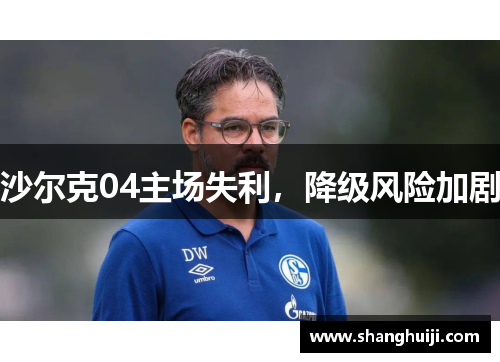 沙尔克04主场失利，降级风险加剧