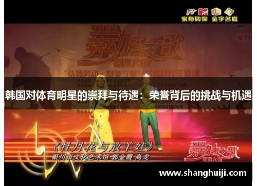 韩国对体育明星的崇拜与待遇：荣誉背后的挑战与机遇