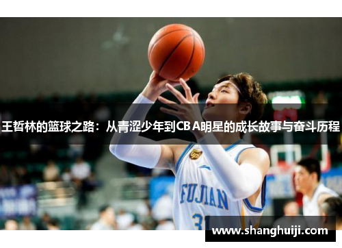 王哲林的篮球之路：从青涩少年到CBA明星的成长故事与奋斗历程